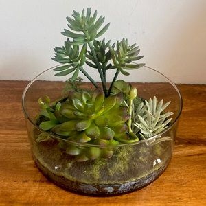 Threshold. Succulents in Decorative Glass bowl/Dish.